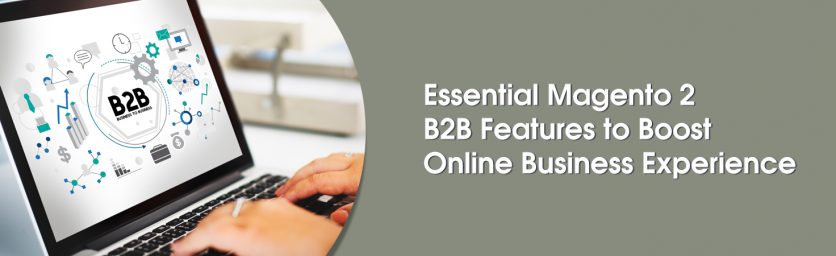 Essential Magento 2 B2B Features to Boost Online Business Experience